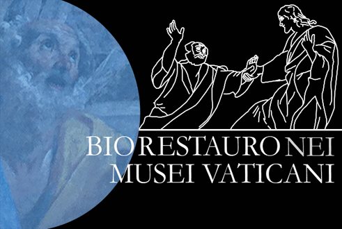 Biorestauración en los Museos Vaticanos