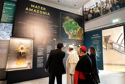 Der Papst in den Vatikanischen Museen