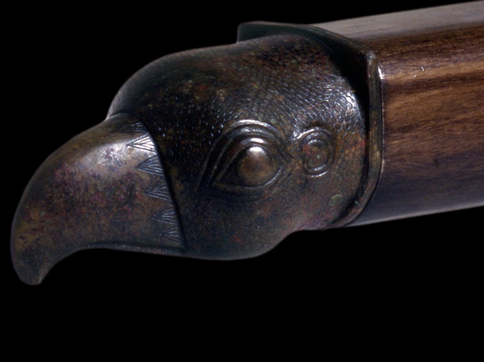 Cabeza de águila