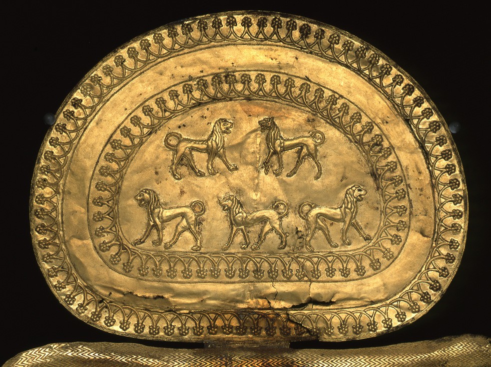 Large parade Fibula