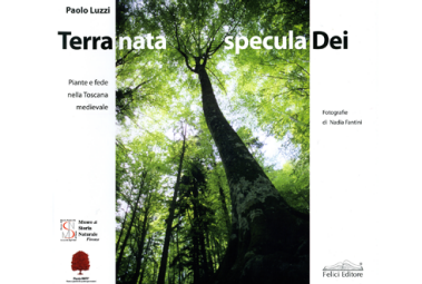 Terra nata, specula Dei