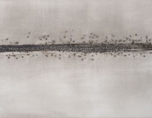 Roberto Almagno, Sin título, 2009, polvo de hulla martillado sobre cartulina, 600 x 810 mm