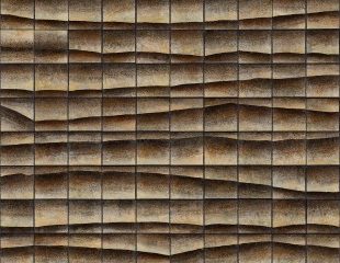 Elpida Hadzi-Vasileva, “Reoccurring Undulation”, 2011, preserved salmon skins on metal zinc plated tiles